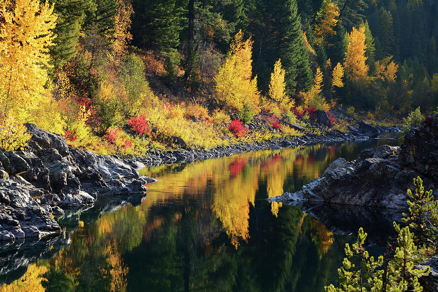Autumn on the Middle Fork #1 Photograph by Whispering Peaks Photography