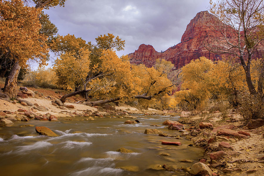 Autumn over Zion #1 Photograph by Andrew Soundarajan