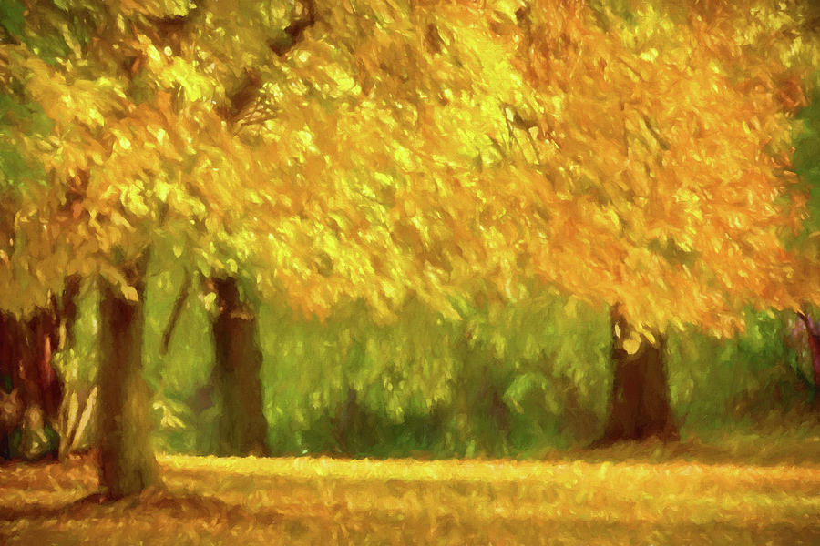 Autumn Park #1 Painting by Lutz Baar