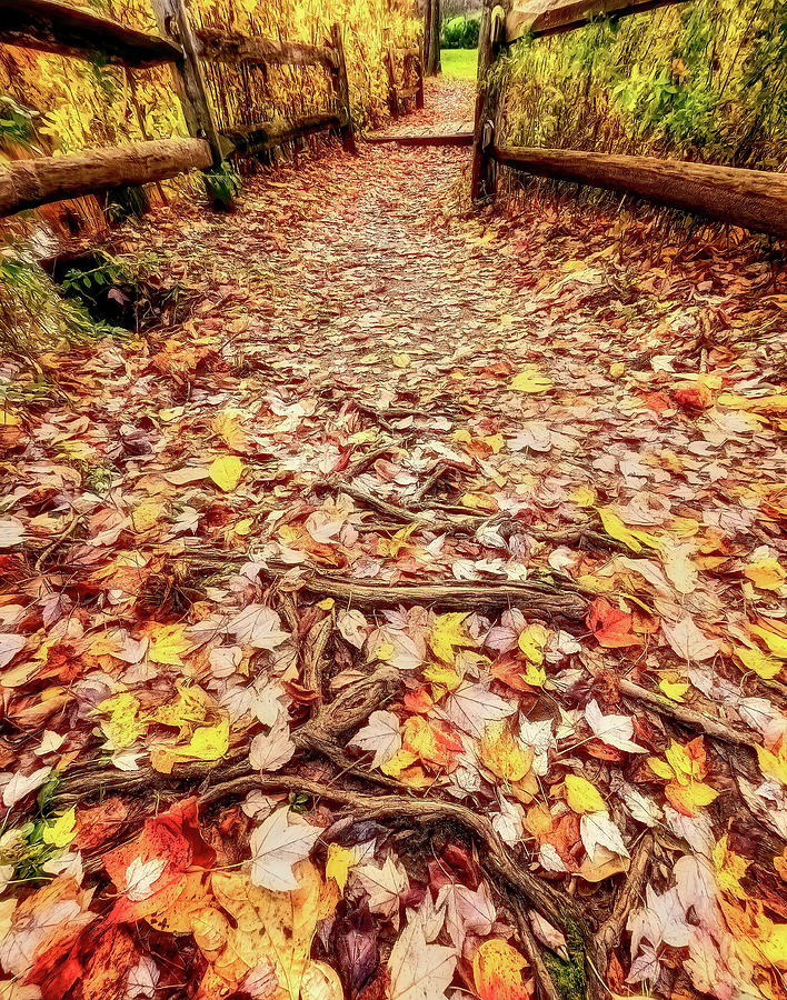 Autumn Path To The Footbridge #1 Photograph by Gary Slawsky