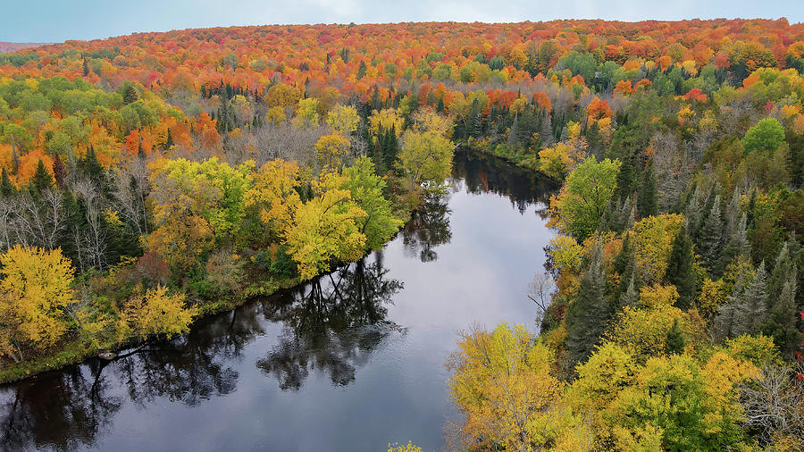 Autumn Pine River Photograph by Brook Burling - Fine Art America