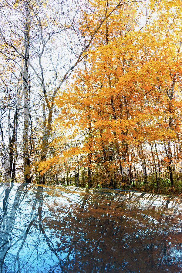Autumn Reflection #1 Photograph by Cristina Stefan