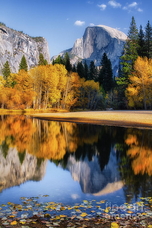 Autumn Reflections #1 Photograph by Anthony Michael Bonafede
