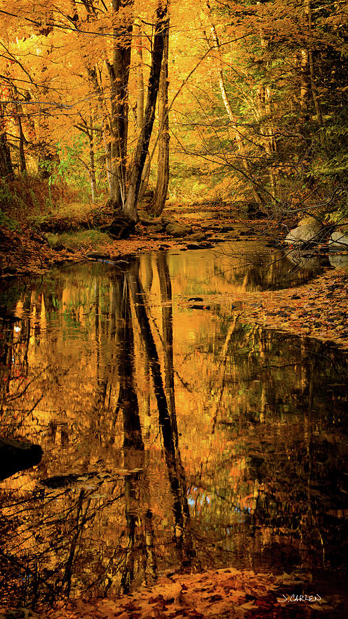 Autumn Reflections #1 Photograph by Jim Carlen