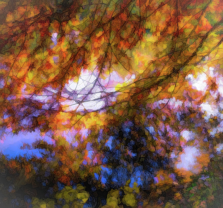 Autumn Reflections #1 Photograph by Mary Lynn Giacomini