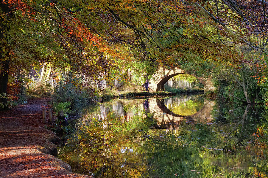 Autumn Reflections  #1 Photograph by Shirley Mitchell