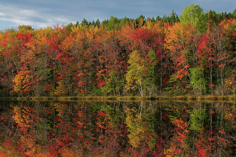 Autumn Reflections Thornton Lake Photograph
