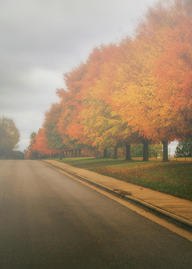 Autumn Road #1 Photograph by Allin Sorenson
