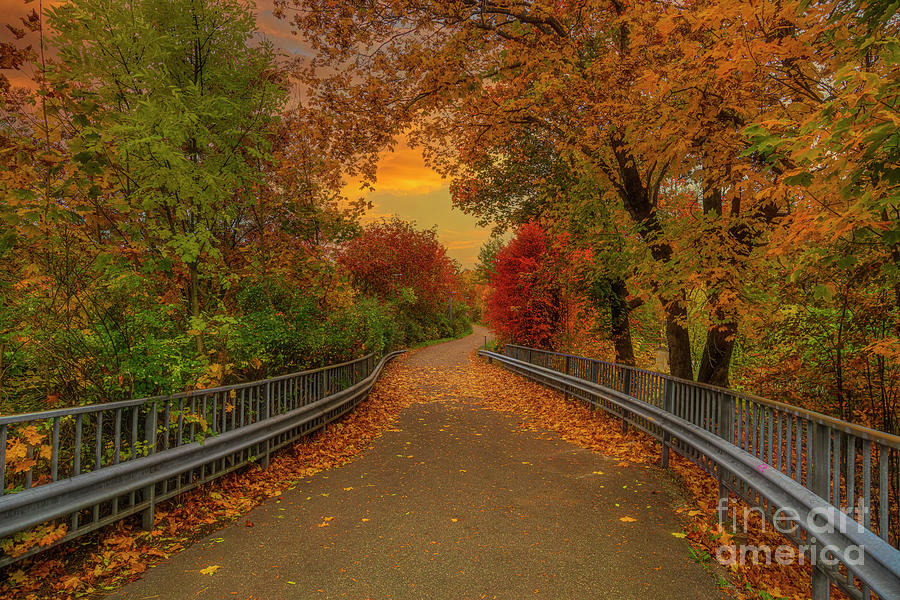 Autumn Road Photograph