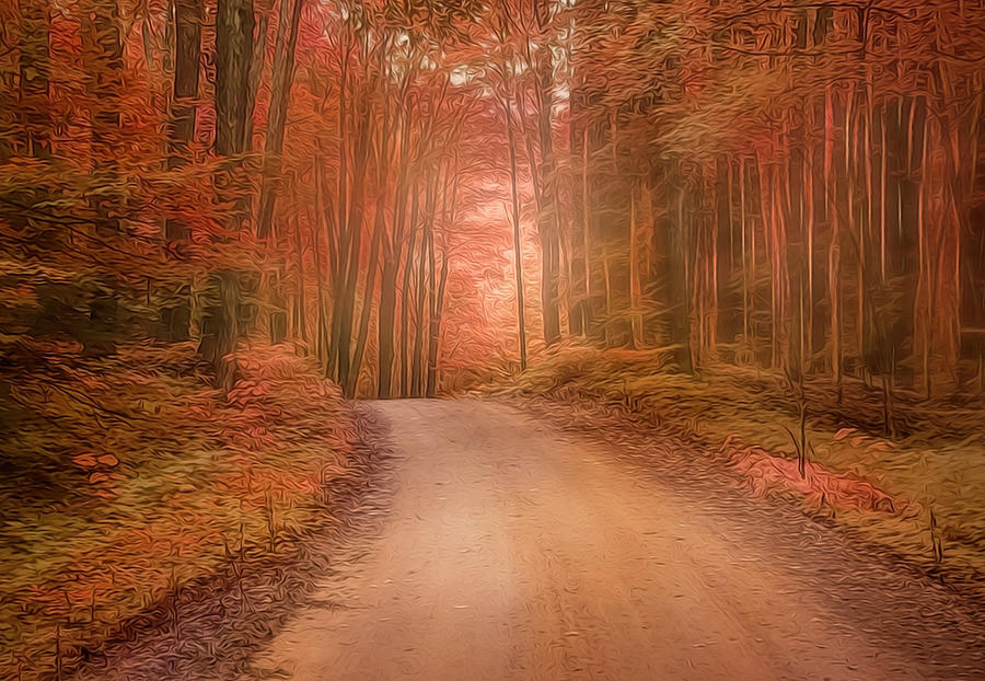 Autumn Roads #1 Photograph by Sandra Js