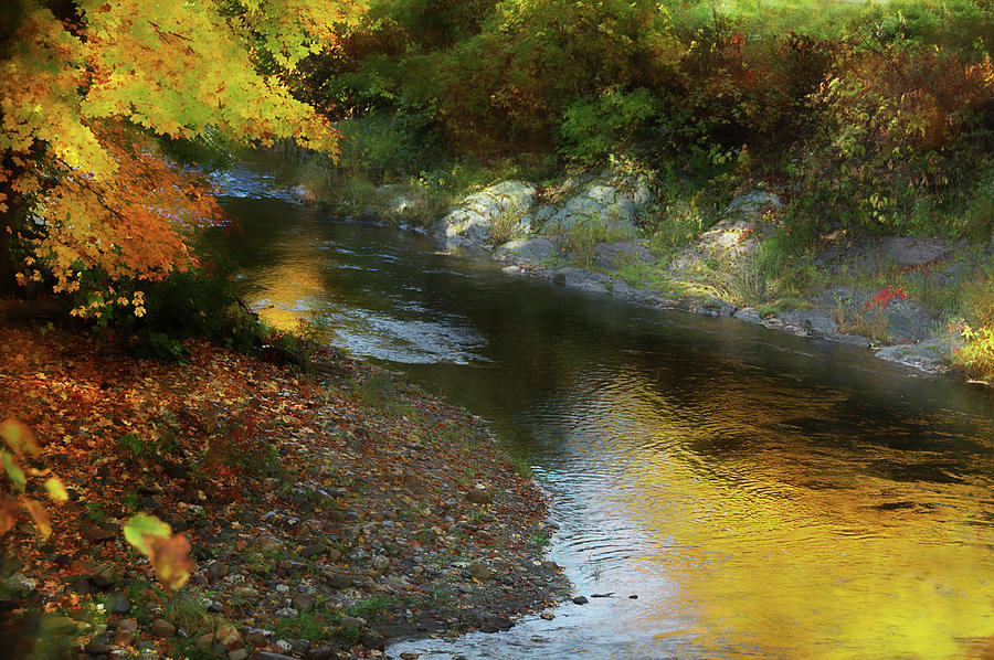 Autumn Stream #1 Photograph by Sandra Silva