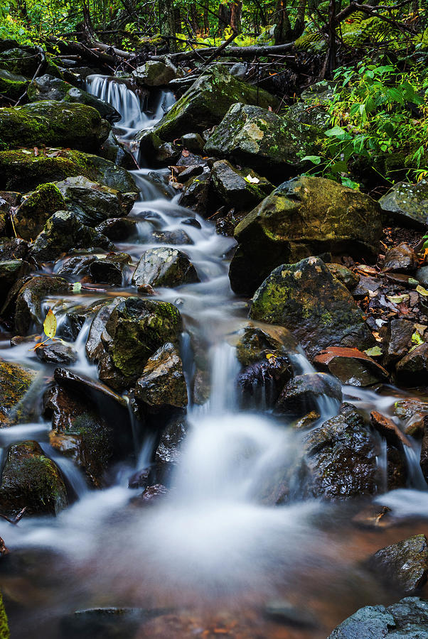 Autumn stream #1 Photograph by Vishwanath Bhat
