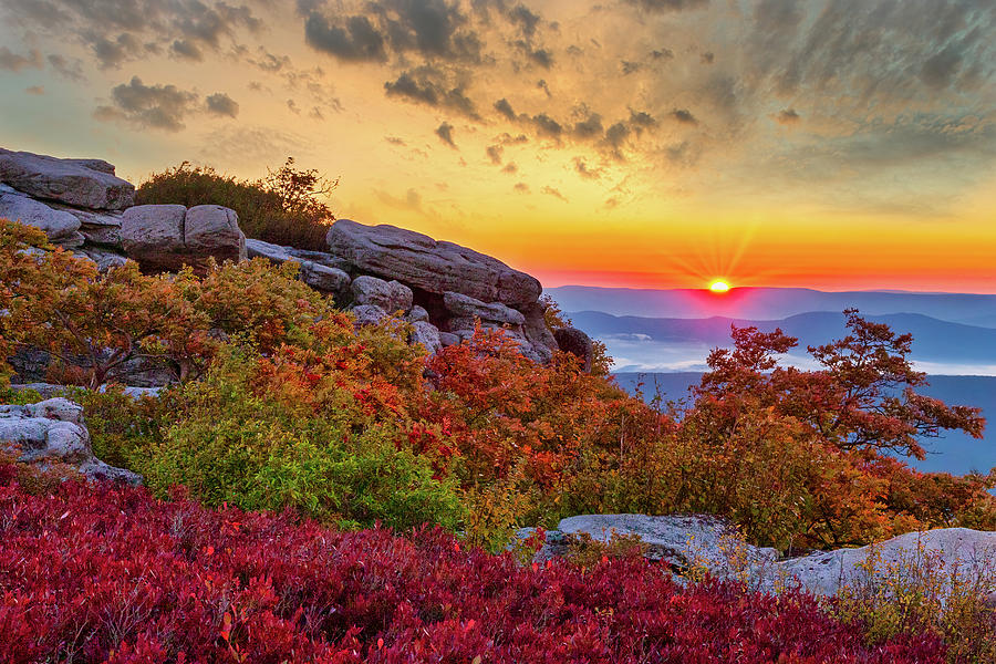 Autumn Sunrise on the Rocks Photograph by Dan Carmichael