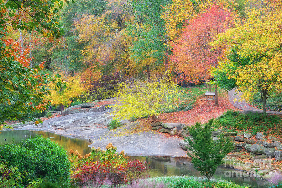 Early Autumn View Photograph by Blaine Owens Early Autumn View Photograph by Blaine Owens