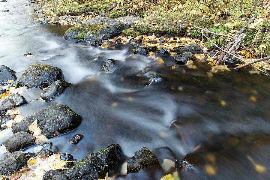 Autumn Water Photograph