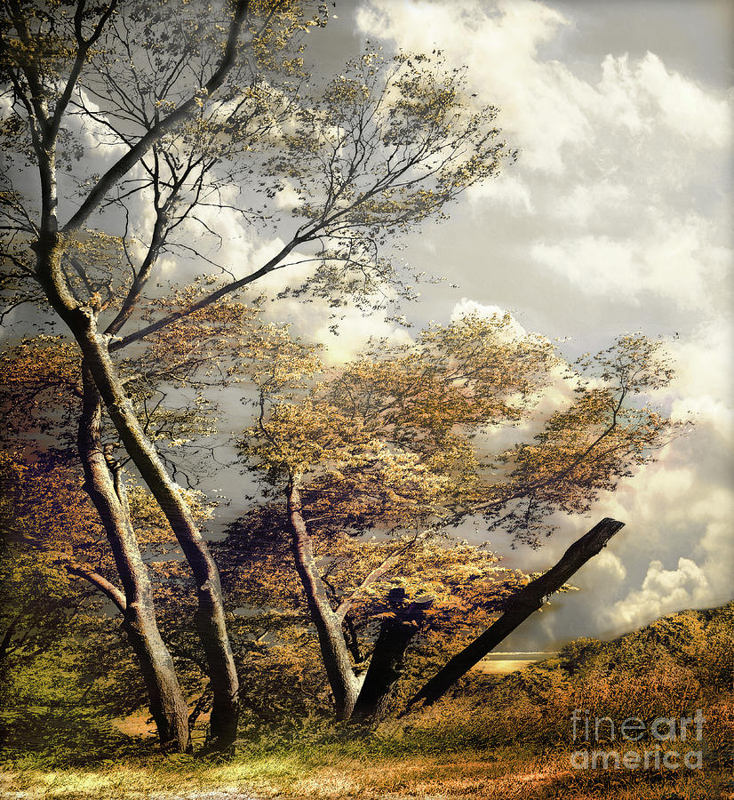 Autumn Wind #1 Photograph by John Anderson