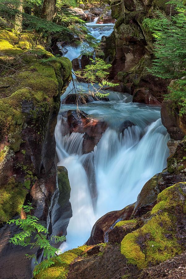 Avalanche Creek Gorge #1 Photograph by Morris McClung