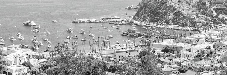Black And White Photograph - Avalon Catalina Island Black and White Panorama Photo #1 by Paul Velgos