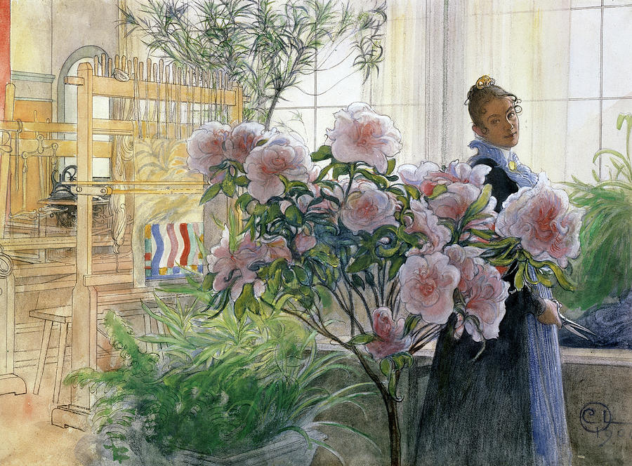 Azalea, from 1906 Drawing by Carl Larsson