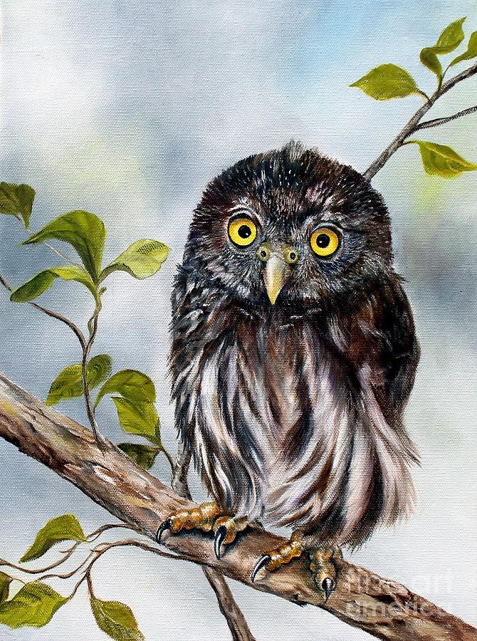 Baby Pygmy Owl Painting by AMD Dickinson