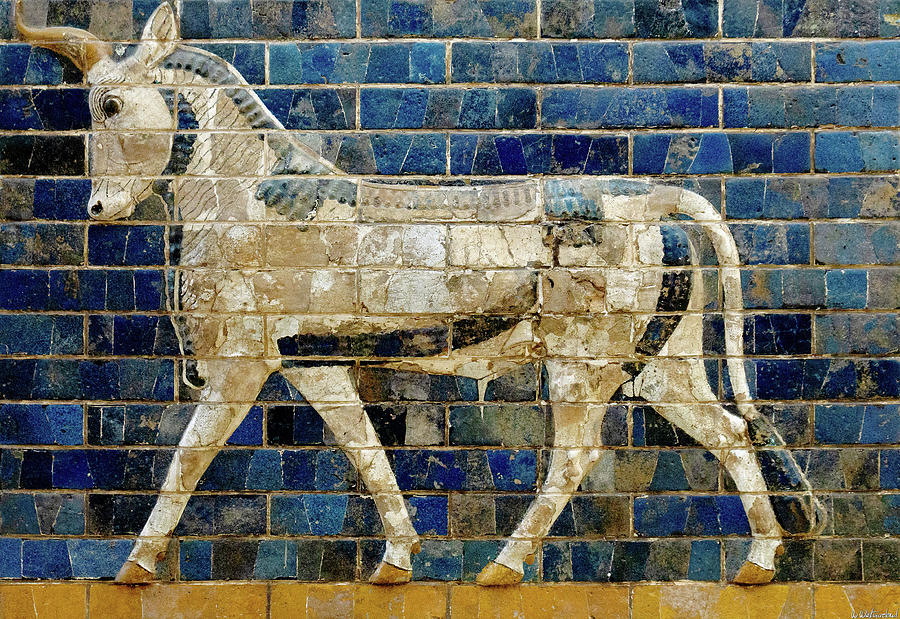 Babylonian Aurochs 01 Left Photograph by Weston Westmoreland