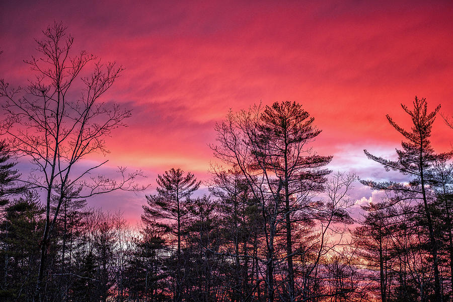 Backyard Sunset #1 Photograph by Jeff Sinon