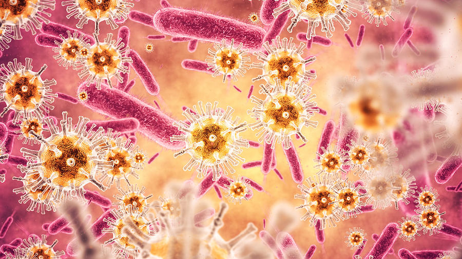 Bacterium closeup #1 Photograph by Spawns
