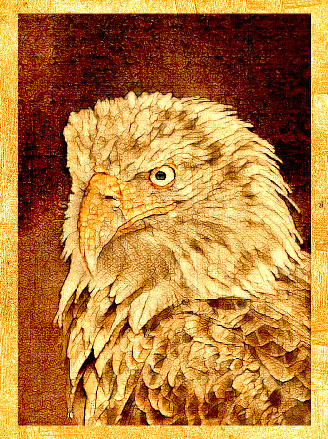 Bald Eagle #1 Digital Art by Steven Parker