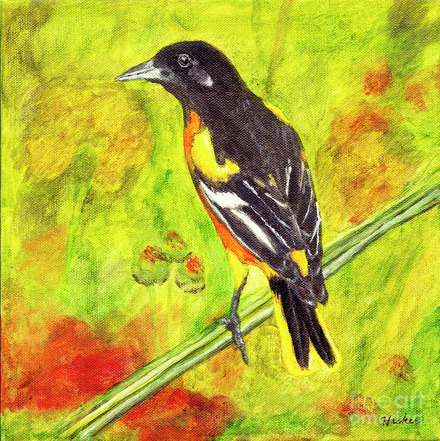 Baltimore Oriole Painting #1 Painting by Timothy Hacker