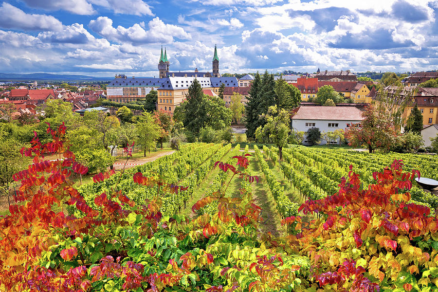 Bamberg. Town of Bamberg view from Michaelsberg vineyards to Bam #1 Photograph by Brch Photography
