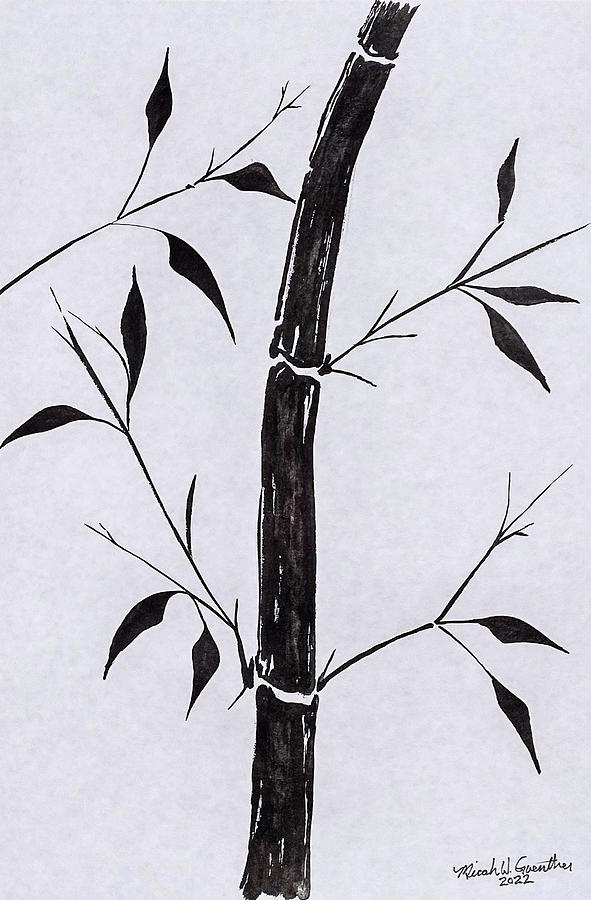 Bamboo 2 #1 Drawing by Micah Guenther