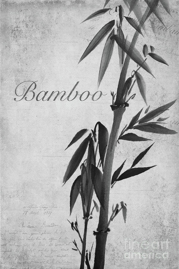 Bamboo Painting