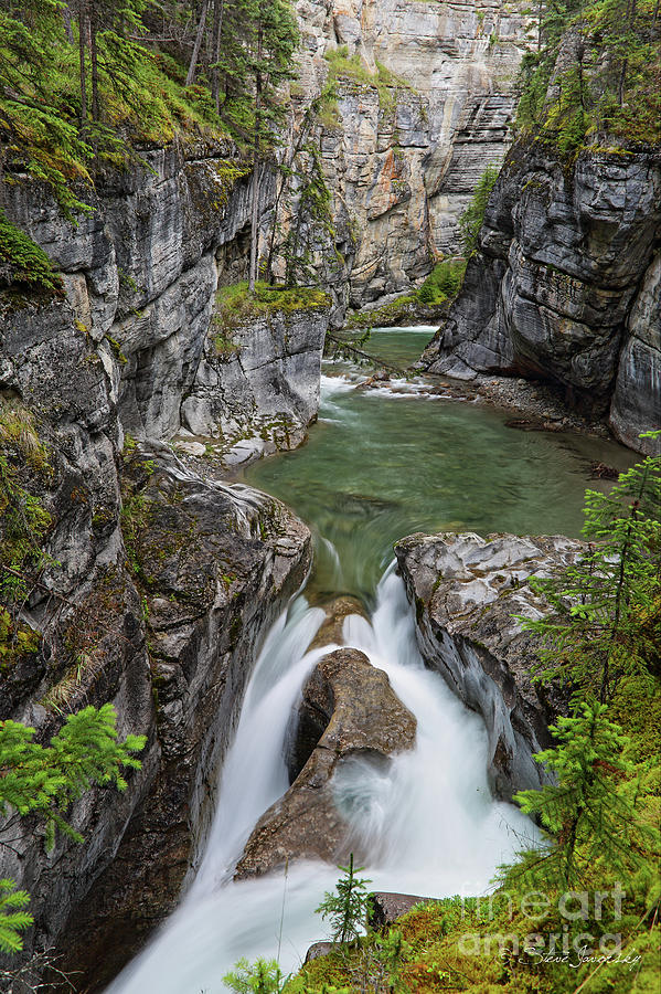 Banff and Jasper National Park #1 Photograph by Steve Javorsky