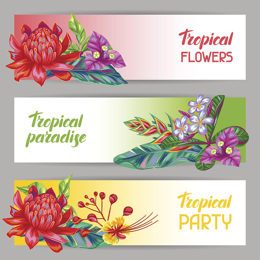 Banners with Thailand flowers. Tropical multicolor plants, leaves and buds #1 Drawing by Incomible