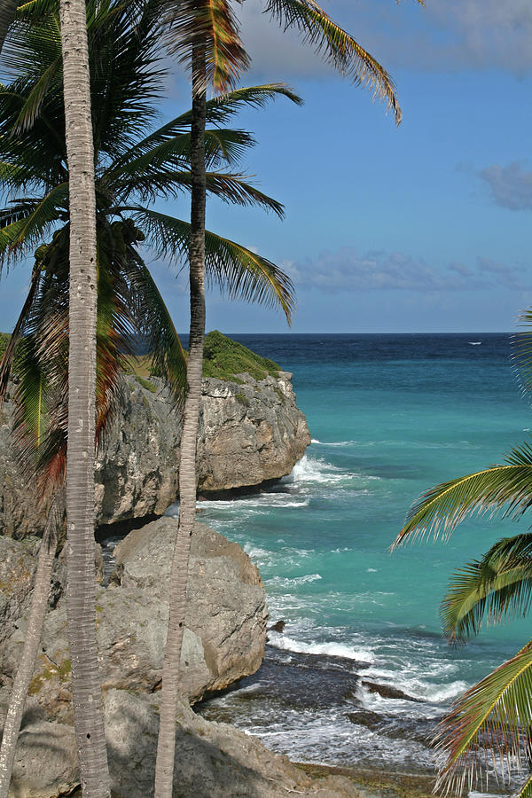 Barbados #1 Photograph by Richard Krebs