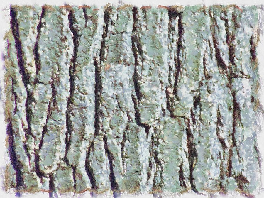 Bark Texture Mixed Media by Christopher Reed