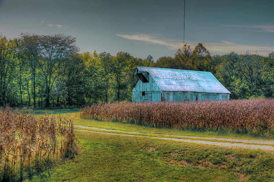 Barn Photograph - Barn in a Cornfield #2 by Larry Braun Barn Photograph - Barn in a Cornfield #2 by Larry Braun