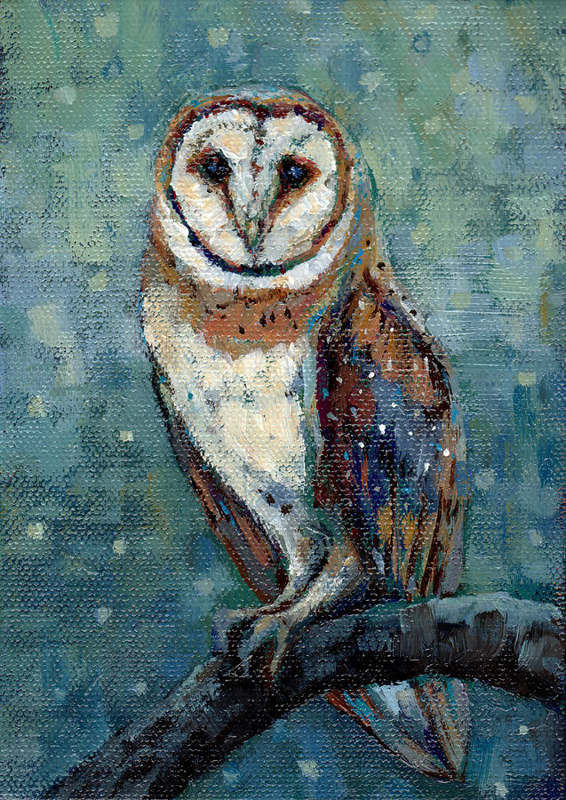 Barn Owl  #1 Painting by Peggy Wilson