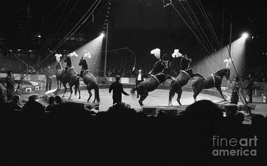 Barnum And Bailey Circus, 1964 #1 Photograph by Winifred Walter