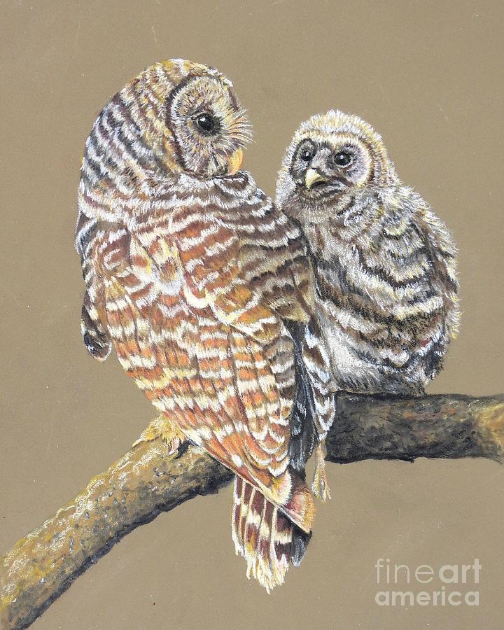 Bird Painting - Barred owl mother and child #2 by Heather King