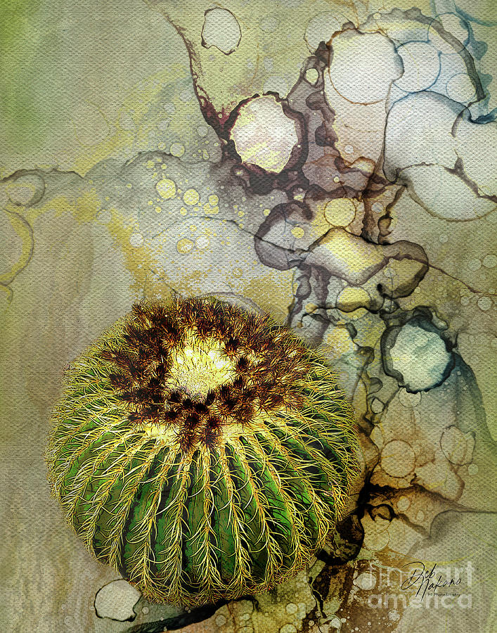 Barrel Cactus Abstract #1 Digital Art by Deb Nakano