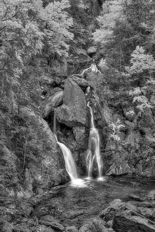 Bash Bish Falls  #1 Photograph by Susan Candelario