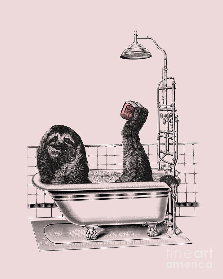 Wildlife Mixed Media - Bathroom Sloth #1 by Madame Memento