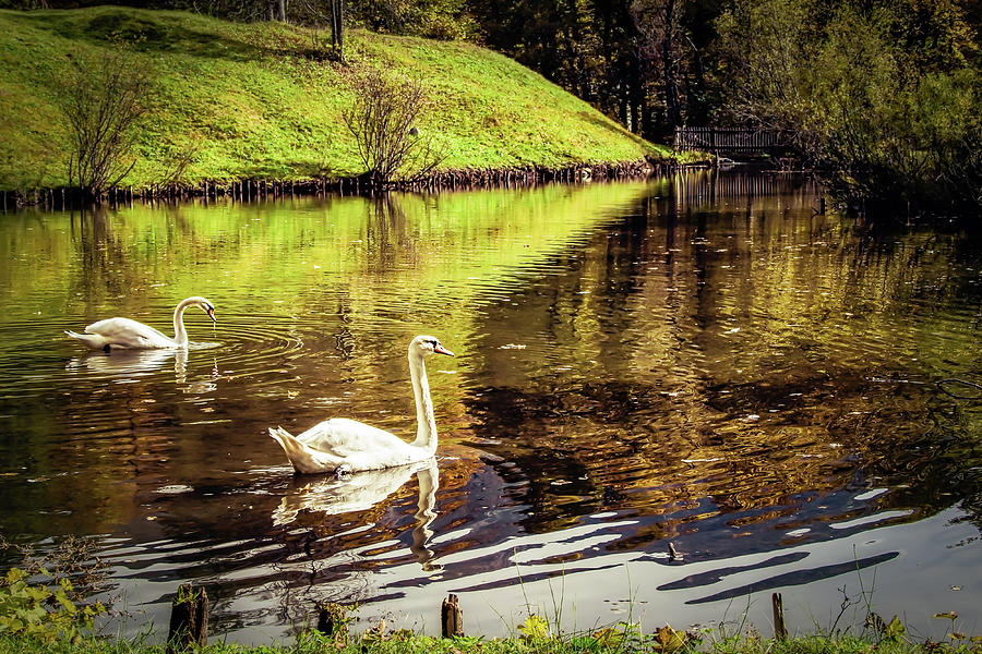 Bavarian Pond #1 Photograph by Bill Chizek