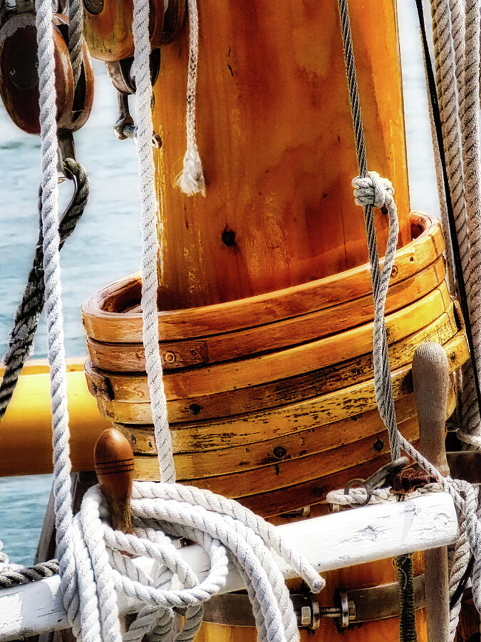 Bay Lady Up Close Photograph by Scott Loring Davis - Pixels