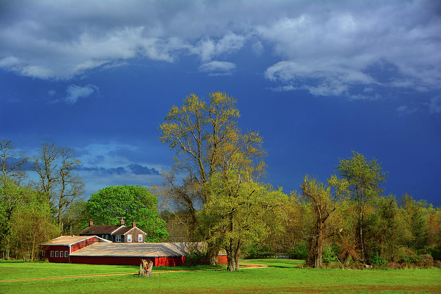 Bayonet Farm Harding House #1 Photograph by Raymond Salani III
