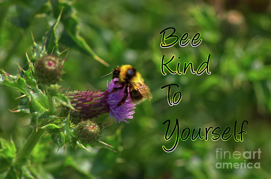 Be kind to yourself #1 Photograph by Pics By Tony