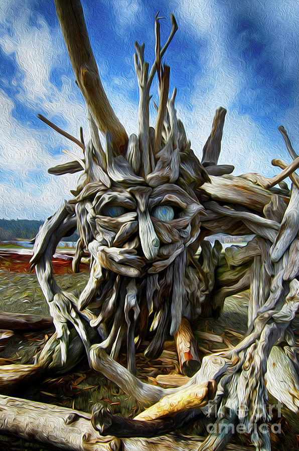 Beach Driftwood Art 5 Photograph by Bob Christopher