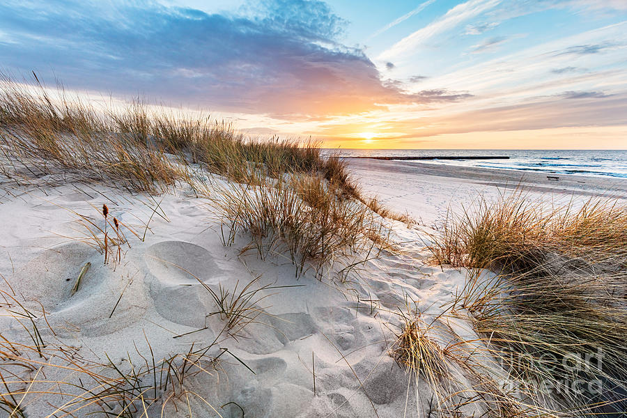 Beach grass on dune, Baltic sea at sunset #1 Photograph by Michal Bednarek