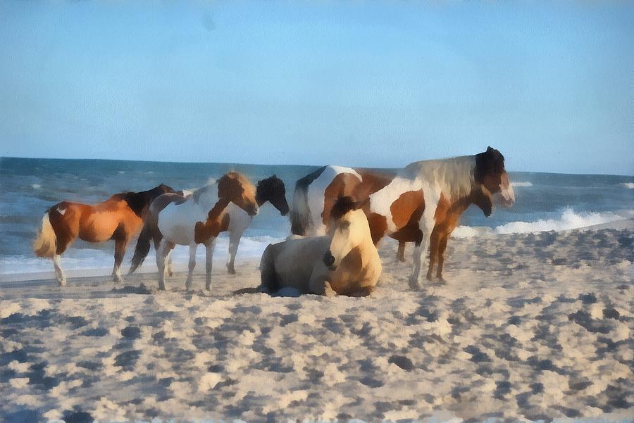 Beach Horses #1 Painting by Harry Warrick